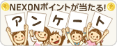 NEXONアンケート