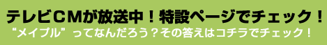 TVCM�������I���݃y�[�W�Ń`�F�b�N�I