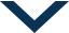 NEXON_COLOR_NAVY