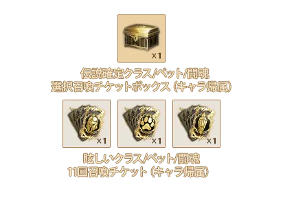 伝説クラス/ペット/闘魂確定召喚チケット選択ボックスx1、眩しいクラス11回召喚チケットx1、眩しいペット11回召喚チケットx1、眩しい闘魂11回召喚チケットx1