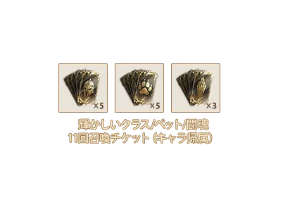 輝かしいクラス11回召喚チケットⅧ(キャラ帰属)x5、輝かしいペット11回召喚チケットⅧ(キャラ帰属)x5、輝かしい闘魂11回召喚チケットⅥ(キャラ帰属)x3